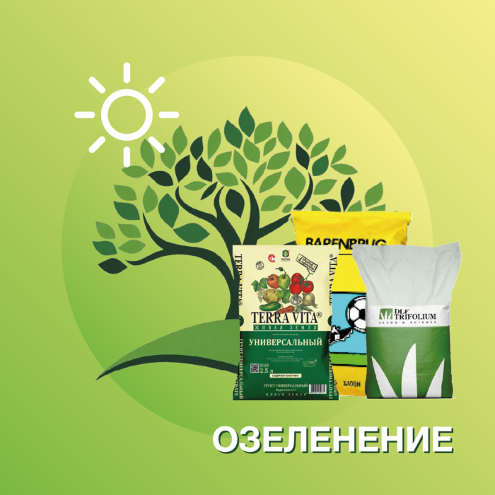 Озеленение